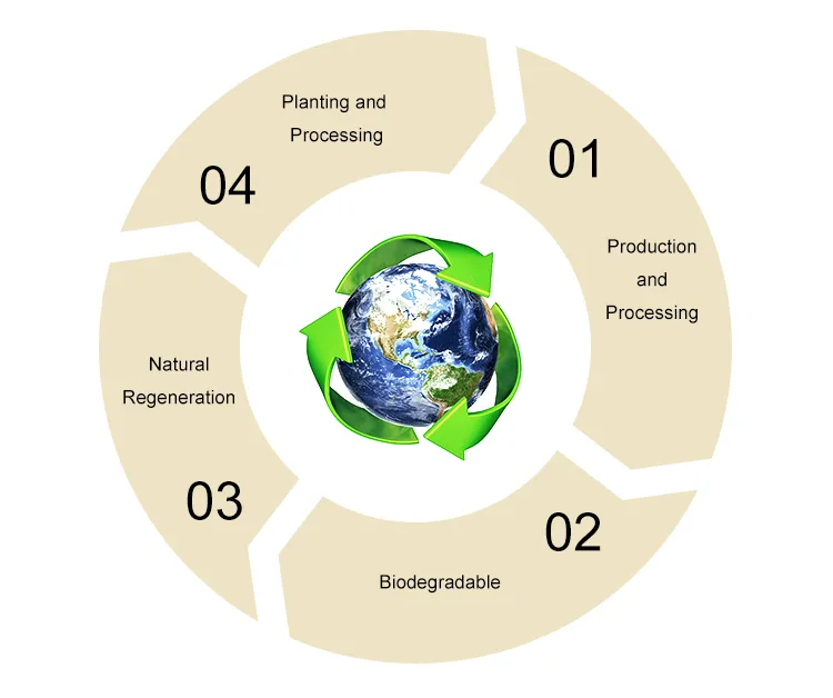 主要树木水果叉