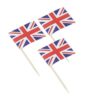 6.5cm Wooden Toothpick Flags
