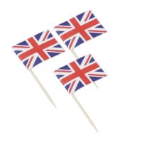 6.5cm Wooden Toothpick Flags