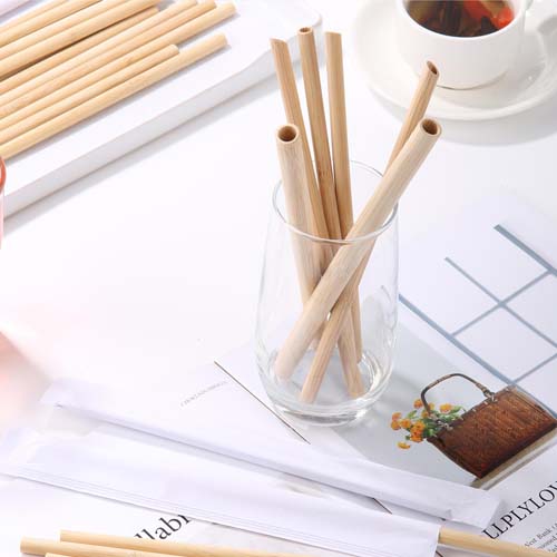 Compostable Bamboo Straws 210mm