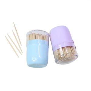 Double-Pointed Disposable Wooden Toothpicks