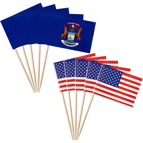 Natural Wooden Toothpick Flags Party Decoration