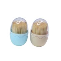 Natural Wooden Toothpicks Double Pointed Bulk