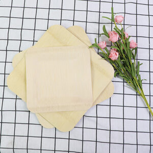 Disposable 7 Inch Square Bamboo Plates