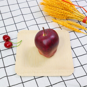 Plastic-Free 7inch Bamboo Square Plates