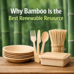 Why Bamboo Is One of the Fastest Renewable Materials on Earth