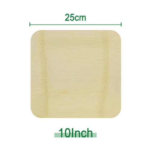 Square 10 Inch Bamboo Plates