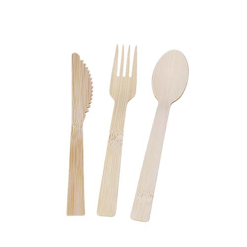 Biodegradable Wooden Flatware