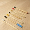 Travel Bamboo Toothbrush Set