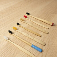 Travel Bamboo Toothbrush Set