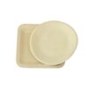Wooden Plates for BBQ and Picnic