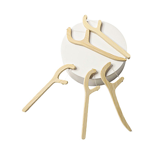 Disposable Bamboo Tooth Floss Picks